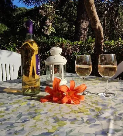 Angela 4* Levanto