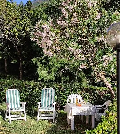 Angela Guest house 3*