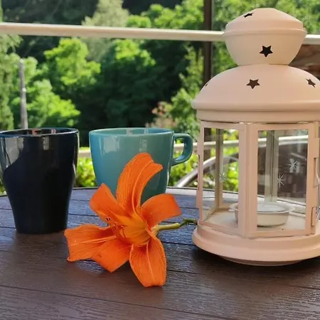 Angela 3* Леванто