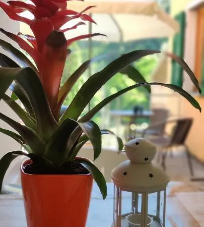 Angela Леванто