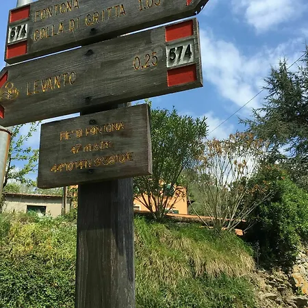 Гостевой дом Angela 3*