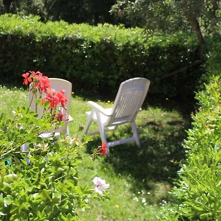 Гостевой дом Angela