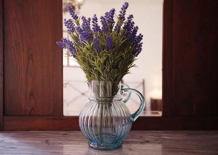 Angela 게스트하우스