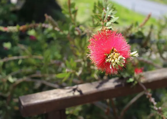 Angela 게스트하우스 레반토